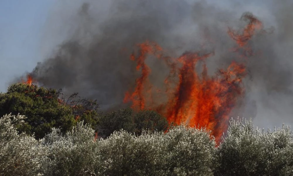 Φωτιά στη Βάρης – Κορωπίου: Άγριο ξύλο σε ζωντανή μετάδοση σε δημοσιογράφο του Πρώτου Θέματος